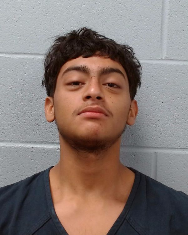 Delcid, Alexander Geovanni arrest record in Hays County, Texas Delcid, Alexander Geovanni arrested in Hays County, Texas mugshot