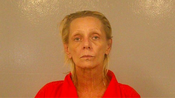PALMER, HANNE KRISTIN arrest record in Burnet County, Texas PALMER, HANNE KRISTIN arrested in Burnet County, Texas mugshot