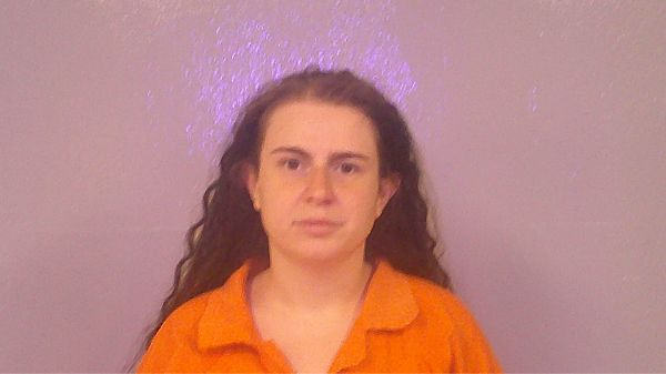 SCOTT, REBECCA STACEY arrest record in Burnet County, Texas SCOTT, REBECCA STACEY arrested in Burnet County, Texas mugshot