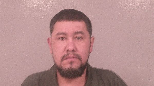 MEDINA LINARES, HECTOR arrested by Immigration and Customs Enforcement
