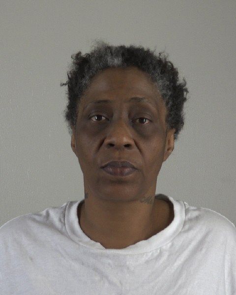 RACHEL LINZY arrest record in Tarrant County, Texas RACHEL LINZY arrested in Tarrant County, Texas mugshot