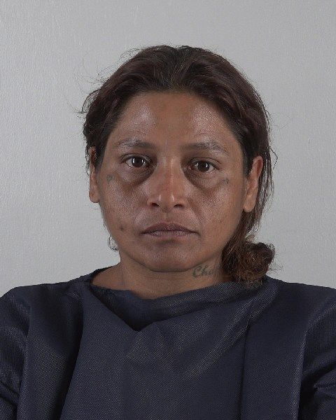 ANGELICA GONZALES arrest record in Tarrant County, Texas ANGELICA GONZALES arrested in Tarrant County, Texas mugshot