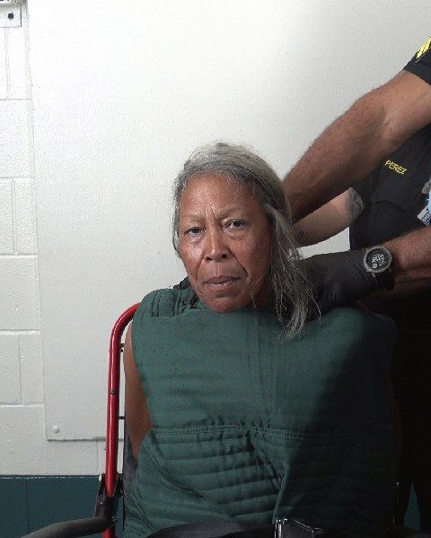 CINDY GREEN arrest record in Tarrant County, Texas CINDY GREEN arrested in Tarrant County, Texas mugshot