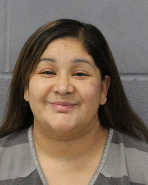 TONI HERNANDEZ arrest record TONI HERNANDEZ mugshot