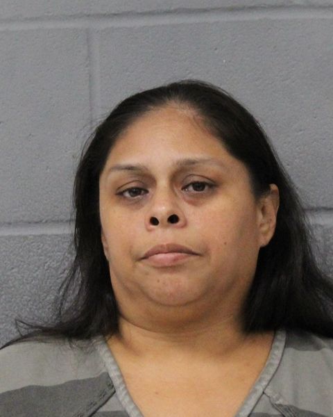 SYLVIA MCMILLIN arrest record SYLVIA MCMILLIN mugshot