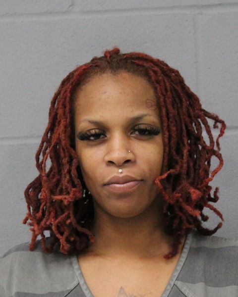 BRAZIA PARKS arrest record BRAZIA PARKS mugshot