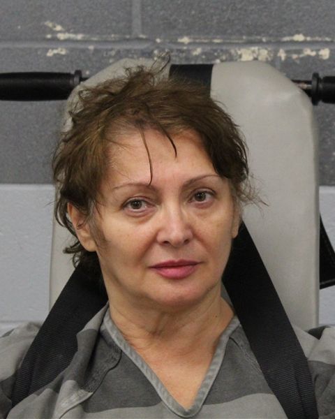 ELENA-LUMINITA CRECAN arrest record ELENA-LUMINITA CRECAN mugshot