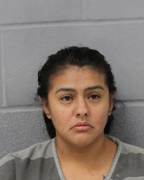 ANA CASTANOS arrest record ANA CASTANOS mugshot