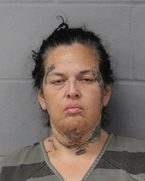 YOLANDA CANTU arrest record YOLANDA CANTU mugshot