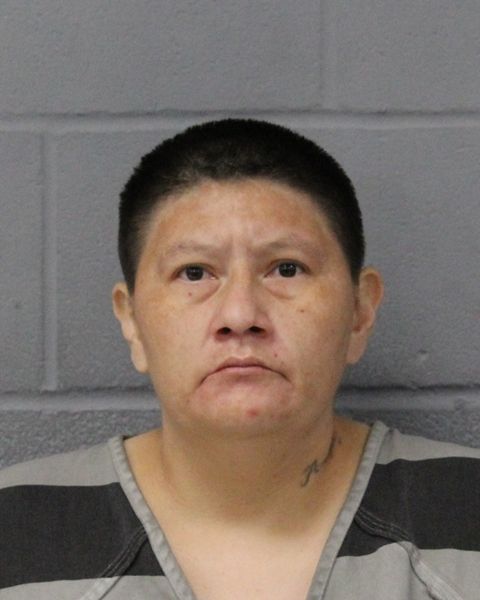 JOANN C0METSEVAH arrest record JOANN C0METSEVAH mugshot