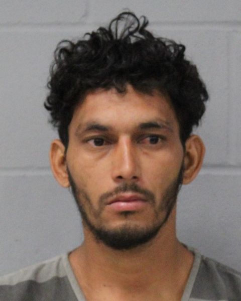 JOHAN ALCANTARA arrest record JOHAN ALCANTARA mugshot