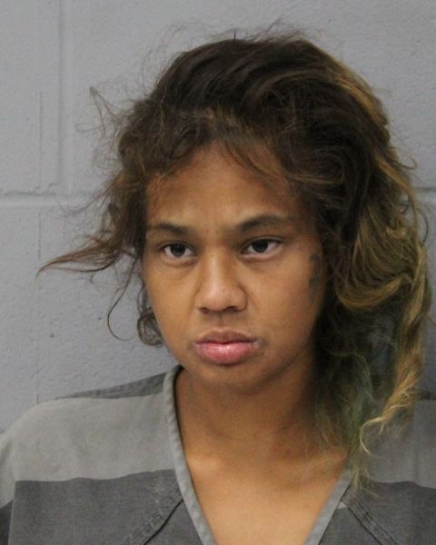 DESIREE HERNANDEZ arrest record DESIREE HERNANDEZ mugshot