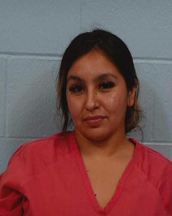 Mendez Navejas, Irany arrest record in Williamson County, Texas Mendez Navejas, Irany arrested in Williamson County, Texas mugshot