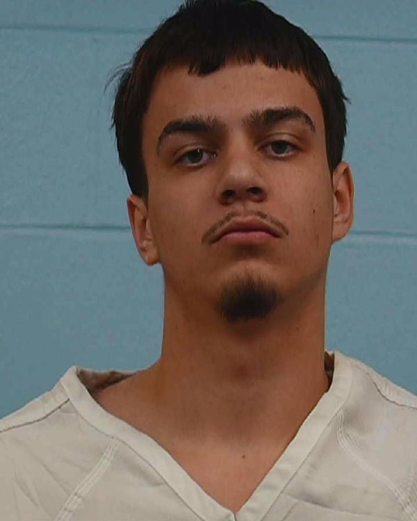 Leesakamp, Ezekiel arrest record in Williamson County, Texas Leesakamp, Ezekiel arrested in Williamson County, Texas mugshot