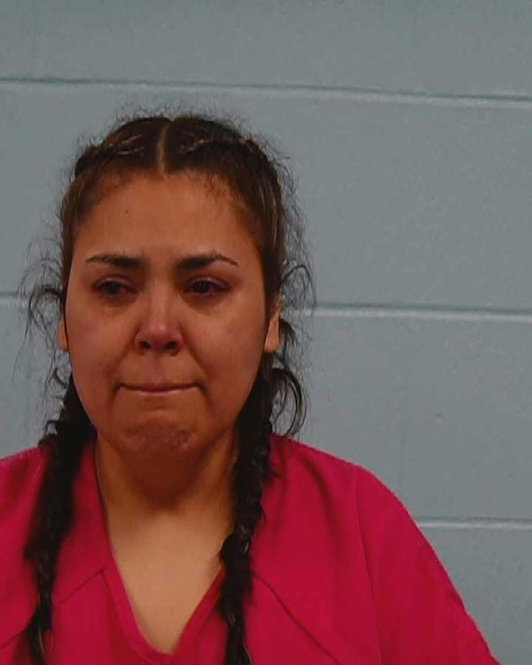 Dias Manzanarez, Yesenia arrest record in Williamson County, Texas Dias Manzanarez, Yesenia arrested in Williamson County, Texas mugshot
