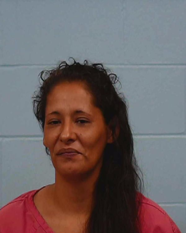 Collins, Karina Nicole arrest record in Williamson County, Texas Collins, Karina Nicole arrested in Williamson County, Texas mugshot