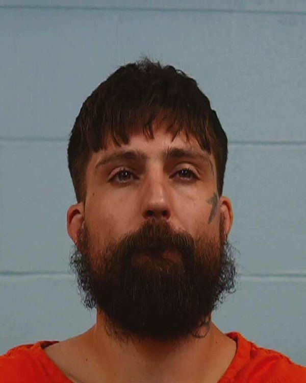 Leiss, Nathaniel arrest record in Williamson County, Texas Leiss, Nathaniel arrested in Williamson County, Texas mugshot