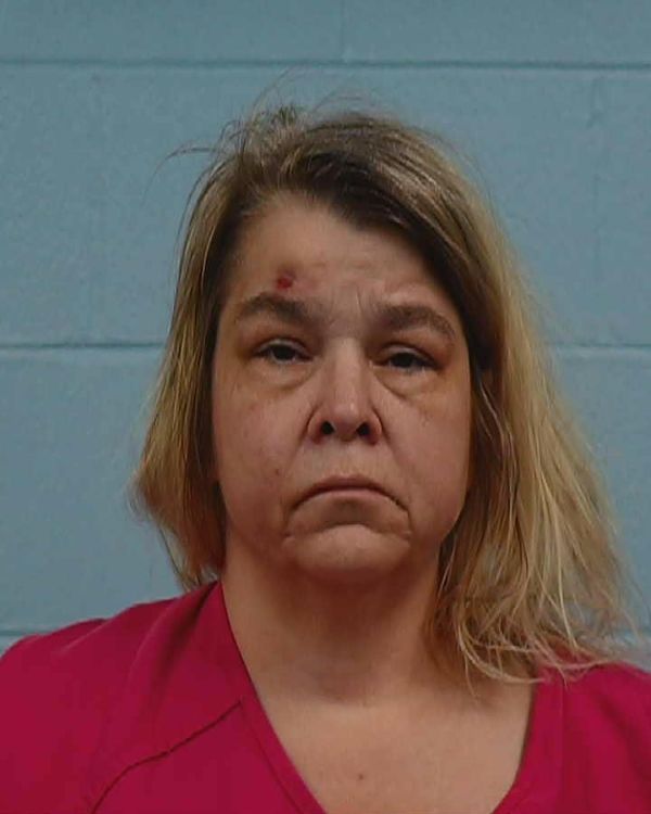 Daniels, Alexandra Brene arrest record in Williamson County, Texas Daniels, Alexandra Brene arrested in Williamson County, Texas mugshot