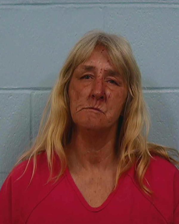 Whisenant, Debria Louise arrest record in Williamson County, Texas Whisenant, Debria Louise arrested in Williamson County, Texas mugshot