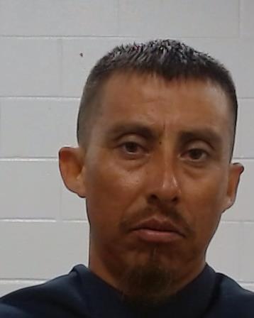 Ibarra-Elorza, Juan arrest record in Collin County, Texas Ibarra-Elorza, Juan arrested in Collin County, Texas mugshot
