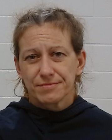 Culp, Shannon Michelle arrest record in Collin County, Texas Culp, Shannon Michelle arrested in Collin County, Texas mugshot