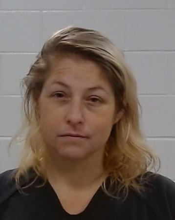 Fitzwater, Alexandra Elizabeth arrest record in Collin County, Texas Fitzwater, Alexandra Elizabeth arrested in Collin County, Texas mugshot
