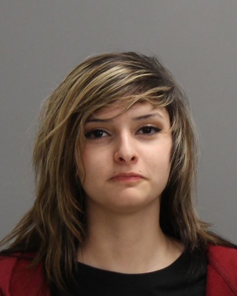 FERNANDEZ, LILLIAN MICHELLE arrest record in Brazos County, Texas FERNANDEZ, LILLIAN MICHELLE arrested in Brazos County, Texas mugshot