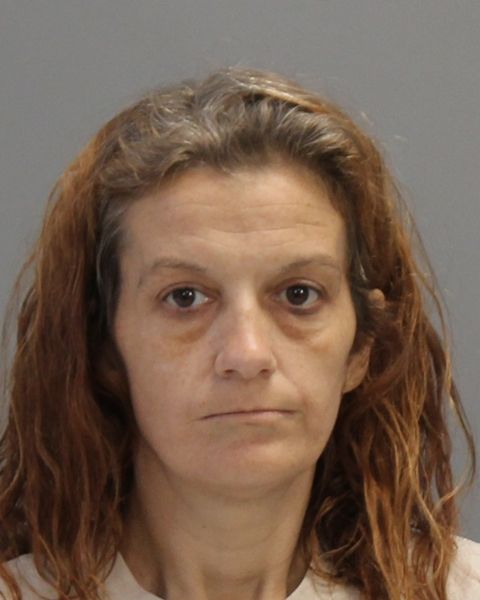 LEE, CASSEY ELAINE arrest record in Brazos County, Texas LEE, CASSEY ELAINE arrested in Brazos County, Texas mugshot