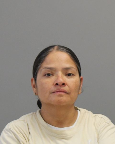 GAMBOA, VICTORIA arrest record in Brazos County, Texas GAMBOA, VICTORIA arrested in Brazos County, Texas mugshot