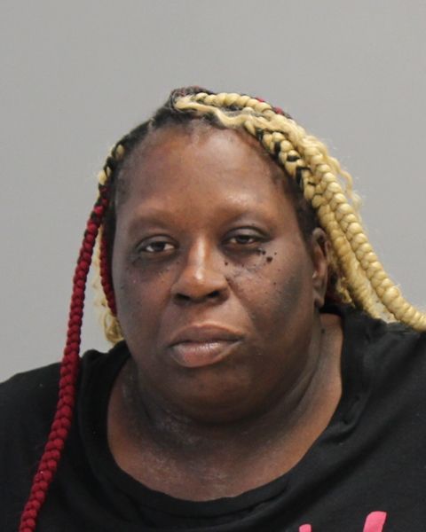 HURD, ERIKA arrest record in Brazos County, Texas HURD, ERIKA arrested in Brazos County, Texas mugshot