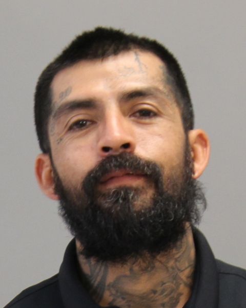 OCAMPO, FERNANDO arrest record in Brazos County, Texas OCAMPO, FERNANDO arrested in Brazos County, Texas mugshot