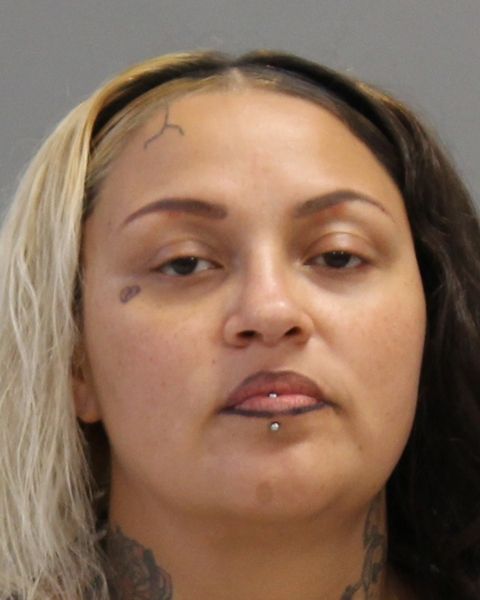 PRADO, MARIA SALSTINA arrest record in Brazos County, Texas PRADO, MARIA SALSTINA arrested in Brazos County, Texas mugshot