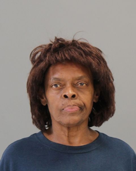 NOWLIN, TEMESHA RENEE arrest record in Brazos County, Texas NOWLIN, TEMESHA RENEE arrested in Brazos County, Texas mugshot
