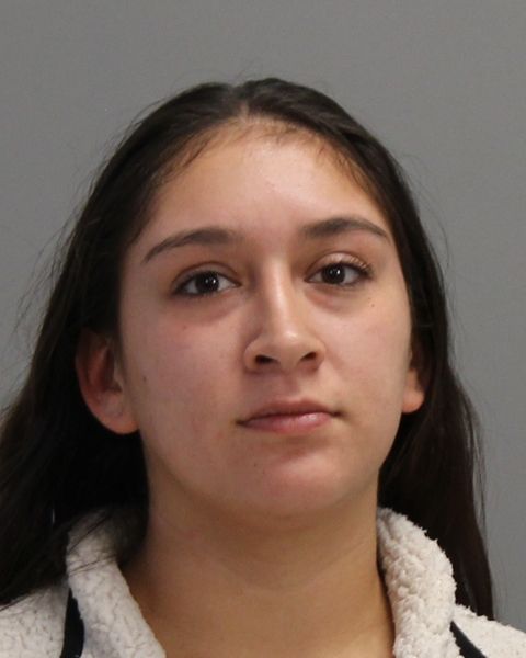 GONZALES, LEXIE MARIA arrest record in Brazos County, Texas GONZALES, LEXIE MARIA arrested in Brazos County, Texas mugshot
