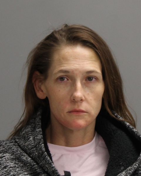 RICHARDSON, CHERLYN DYAN arrest record in Brazos County, Texas RICHARDSON, CHERLYN DYAN arrested in Brazos County, Texas mugshot
