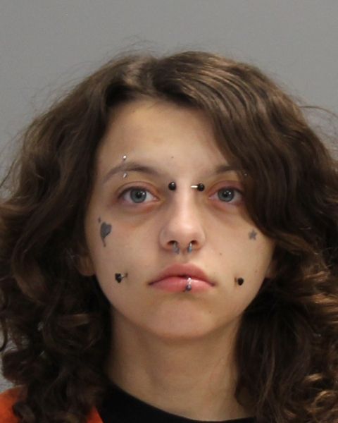 PERKINS, SAMARIAH MARCYA arrest record in Brazos County, Texas PERKINS, SAMARIAH MARCYA arrested in Brazos County, Texas mugshot