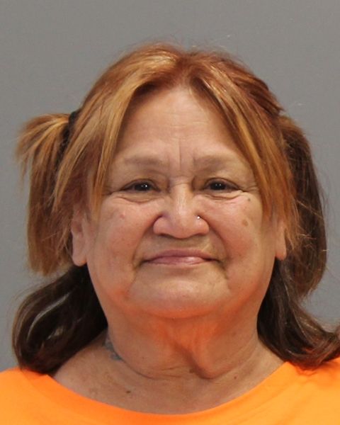 VILLARREAL, DIANA DELEON arrest record in Brazos County, Texas VILLARREAL, DIANA DELEON arrested in Brazos County, Texas mugshot
