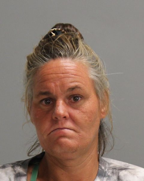 LEWIS, APRIL MICHELLE arrest record in Brazos County, Texas LEWIS, APRIL MICHELLE arrested in Brazos County, Texas mugshot