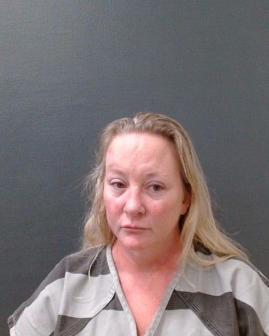 POSEY, MISTY LYNN arrest record in Comal County, Texas POSEY, MISTY LYNN arrested in Comal County, Texas mugshot