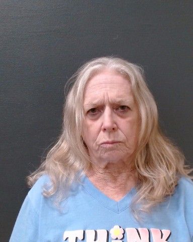 SMITH, PATRICIA DIANE arrest record in Comal County, Texas SMITH, PATRICIA DIANE arrested in Comal County, Texas mugshot