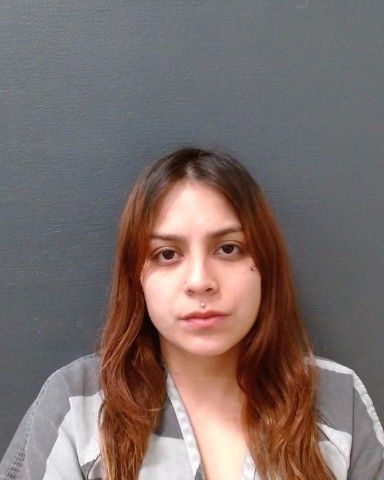 SEGURA, ONDOLINA CAROLINA arrest record in Comal County, Texas SEGURA, ONDOLINA CAROLINA arrested in Comal County, Texas mugshot