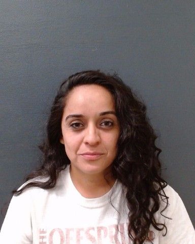 WYCHOPEN, BRENDA arrest record in Comal County, Texas WYCHOPEN, BRENDA arrested in Comal County, Texas mugshot