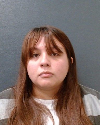 RODRIGUEZ, AMBER MARTHA arrest record in Comal County, Texas RODRIGUEZ, AMBER MARTHA arrested in Comal County, Texas mugshot