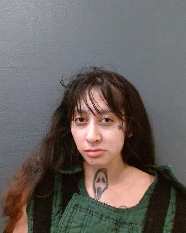 RODRIGUEZ, ASHLEY DENISE arrest record in Comal County, Texas RODRIGUEZ, ASHLEY DENISE arrested in Comal County, Texas mugshot