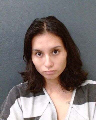 DELGADO, KAYLEEN DENISE arrest record in Comal County, Texas DELGADO, KAYLEEN DENISE arrested in Comal County, Texas mugshot