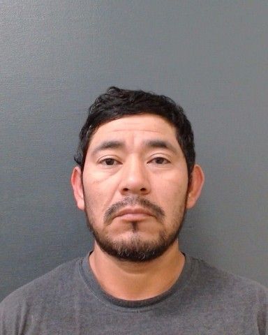 MEJIA IBARRA, GONZALO arrest record in Comal County, Texas MEJIA IBARRA, GONZALO arrested in Comal County, Texas mugshot