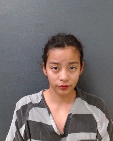 BLISCHE, YVONNE ANN arrest record in Comal County, Texas BLISCHE, YVONNE ANN arrested in Comal County, Texas mugshot