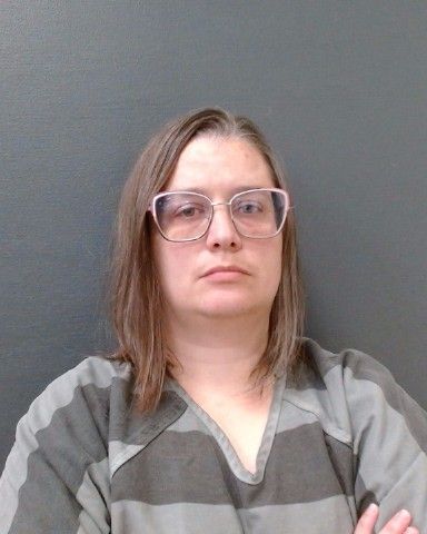 GEIWITZ, CAITLIN MARIE arrest record in Comal County, Texas GEIWITZ, CAITLIN MARIE arrested in Comal County, Texas mugshot