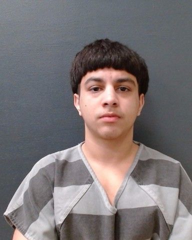 SERNA, EDWIN, Jr. arrest record in Comal County, Texas SERNA, EDWIN, Jr. arrested in Comal County, Texas mugshot
