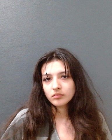ESPINOZA, MARLEY ATHENA-GRACE arrest record in Comal County, Texas ESPINOZA, MARLEY ATHENA-GRACE arrested in Comal County, Texas mugshot